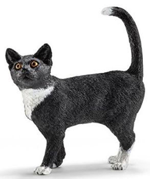 SHL13770 - Katze steht