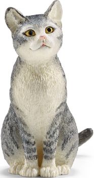 SHL13771 - Katze
