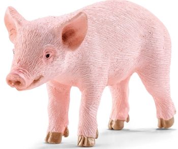 SHL13783 - Ferkel stehend