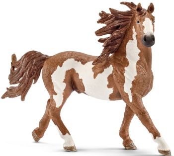 SHL13794 - Pinto Hengst