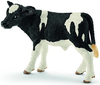 SHL13798 - Holsteiner Kalb