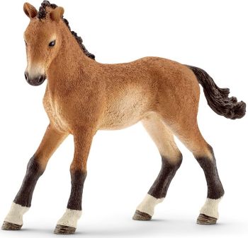 SHL13804 - Tennessee Walker-Fohlen