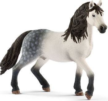 SHL13821 - Andalusischer Hengst