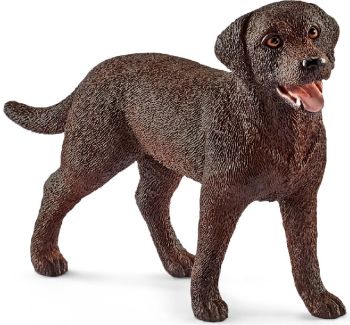 SHL13834 - Labrador-Retriever