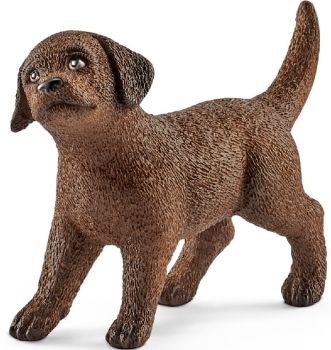 SHL13835 - Labrador-Retriever-Welpe