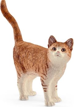 SHL13836 - Katze
