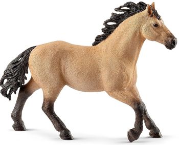 SHL13853 - Quarter Horse Hengst