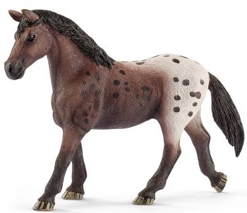 SHL13861 - Appaloosa-Stute