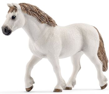 SHL13872 - Pony der walisischen Rasse