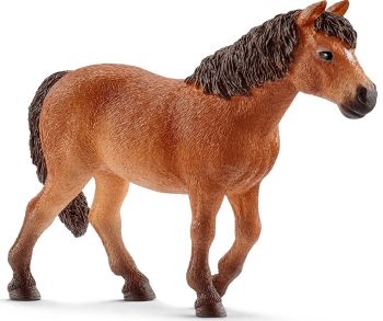 SHL13873 - Pony Dartmoor