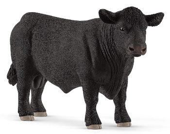 SHL13879 - Angus-Stier