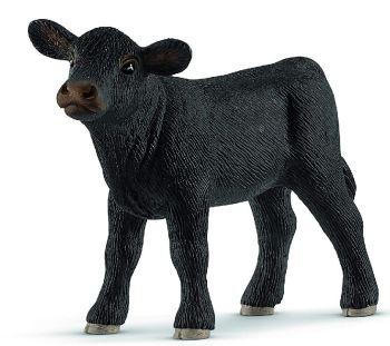 SHL13880 - Angus Kalb