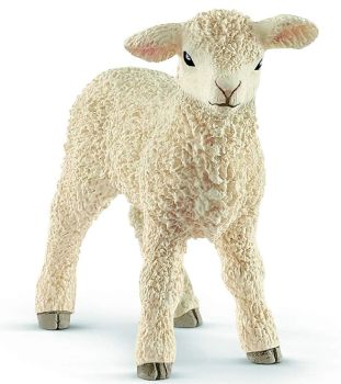 SHL13883 - Lamm