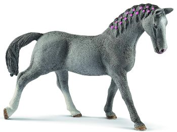 SHL13888 - Trakehner Stute