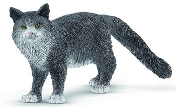 SHL13893 - Maine-Coon-Katze