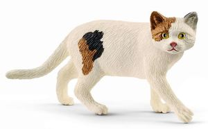 SHL13894 - Amerikanische Kurzhaarkatze