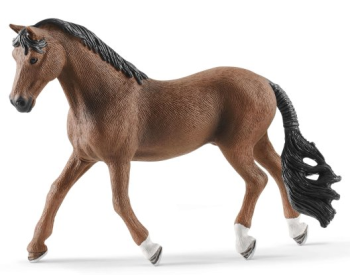 SHL13909 - Trakehner Wallach