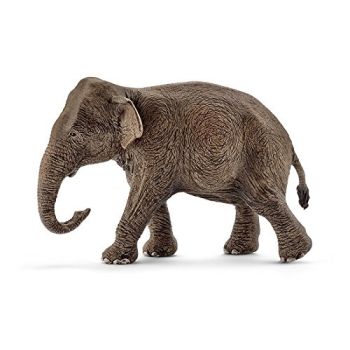 SHL14753 - Asiatischer Elefant - weiblich