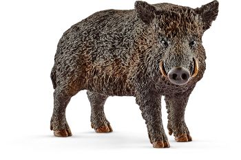 SHL14783 - Wildschwein