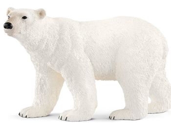 SHL14800 - Eisbär