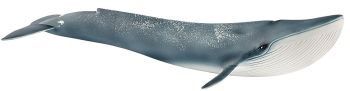SHL14806 - Blauwal