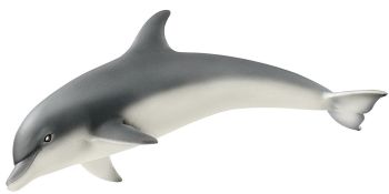 SHL14808 - Delfin