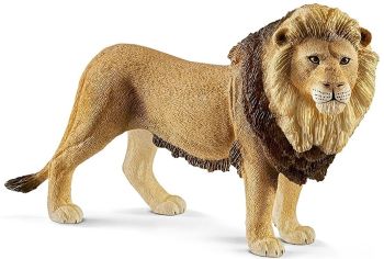 SHL14812 - Löwe