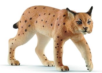 SHL14822 - Luchs