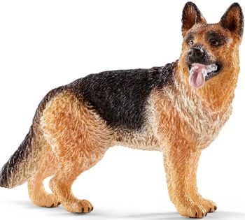SHL16831 - Deutscher Schäferhund