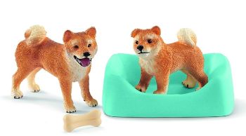 SHL42479 - Shiba Inu Mutter und Welpe