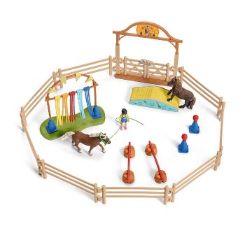 SHL42481 - Pony-Agility-Training