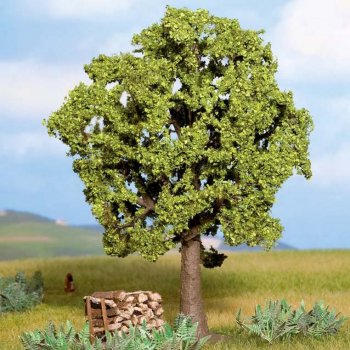 NOC21690 - Buche - 13 cm